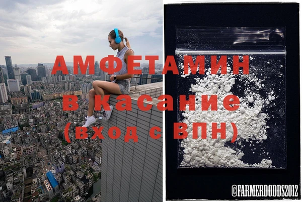 дмт Абаза