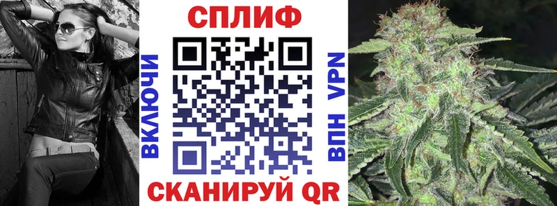где можно купить   Барыш  Конопля планчик 